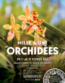 Affiche expo 1001 orchides 2017