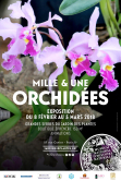 Affiche expo 1001 orchides 2018