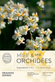 Affiche 1001 orchides, Jardin des plantes 2020