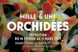 Affiche expo 1001 orchides 2019