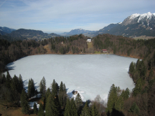 Lac gel, 2008